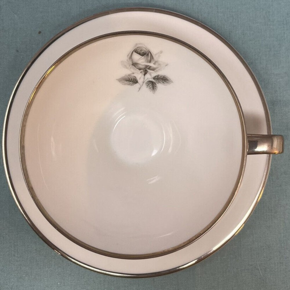 Remembrance Platinumtrim Flat Tea Cup & Saucer Set Bavaria Germany Discontinued
